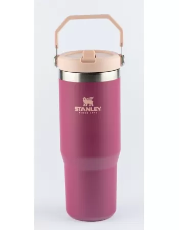 TUMB TERM STL FLIP STRAW RASPBERRY 887 ML