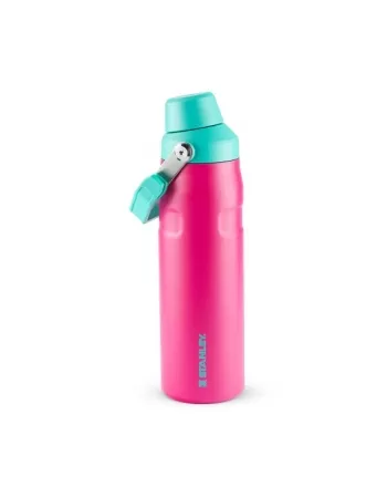 AEROLIGHT FASTFLOW PINK 710 ML